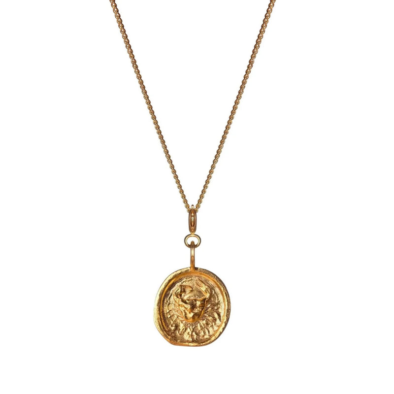 Misho Mini Zodiac Necklace