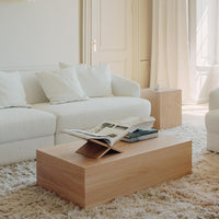 Mass Coffee Table & Storage