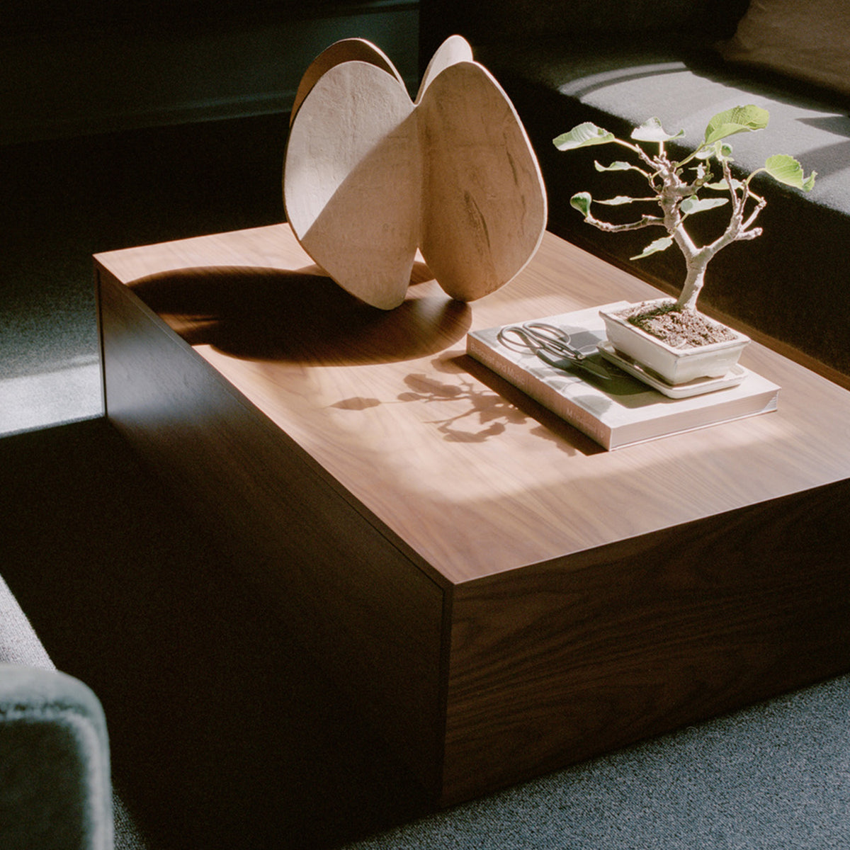 Mass Coffee Table & Storage