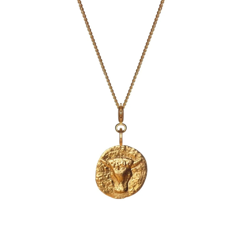 Misho Mini Zodiac Necklace