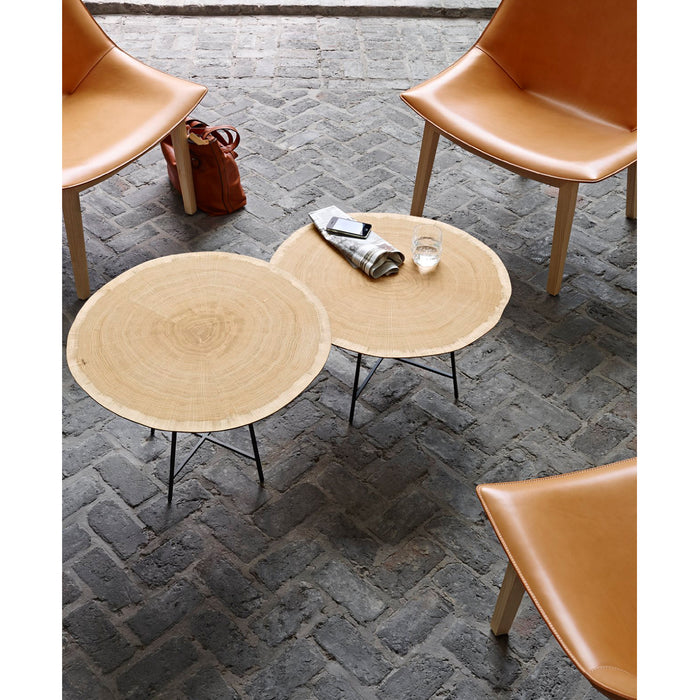 Alburni Occasional Table Low Version - Ligne Roset