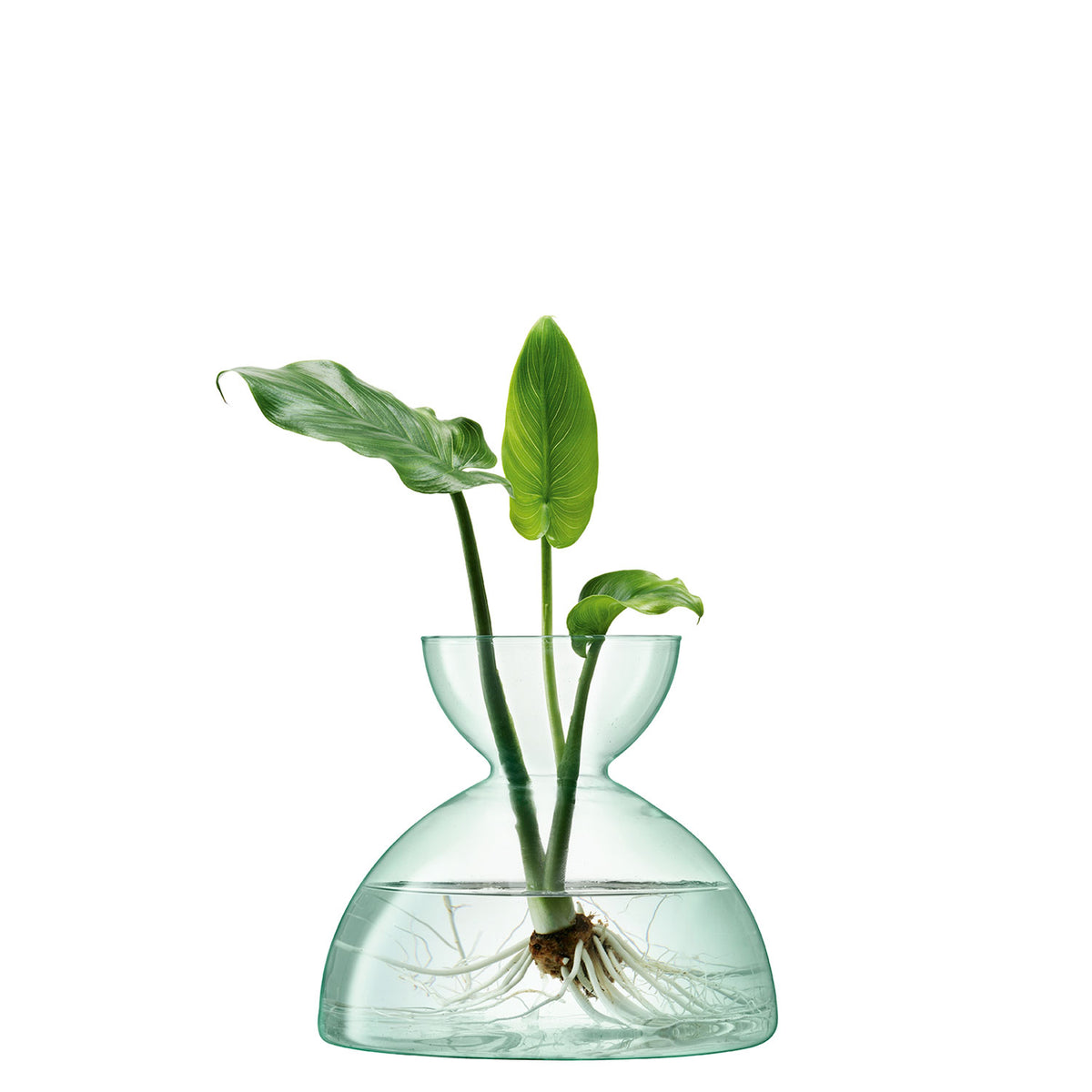 Canopy Glass Vase 18cm - LSA