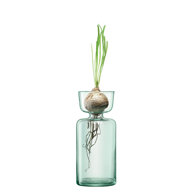 Canopy Vase Bulb Planter 20 cm - LSA