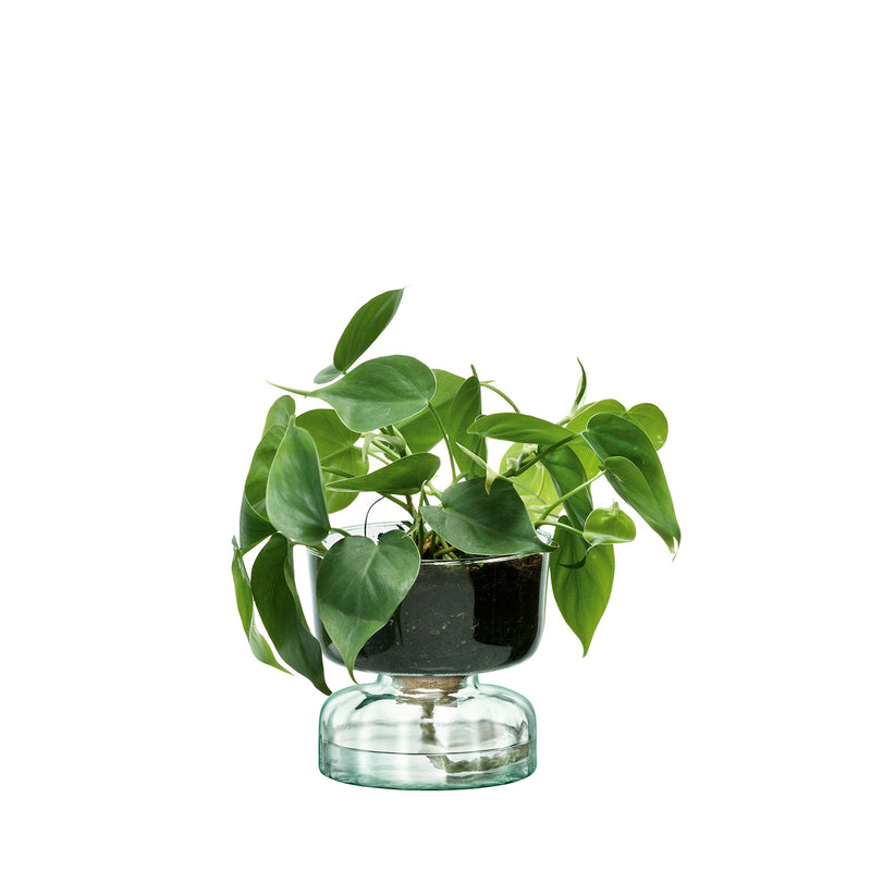 Canopy Self Watering Planter 13cm - LSA