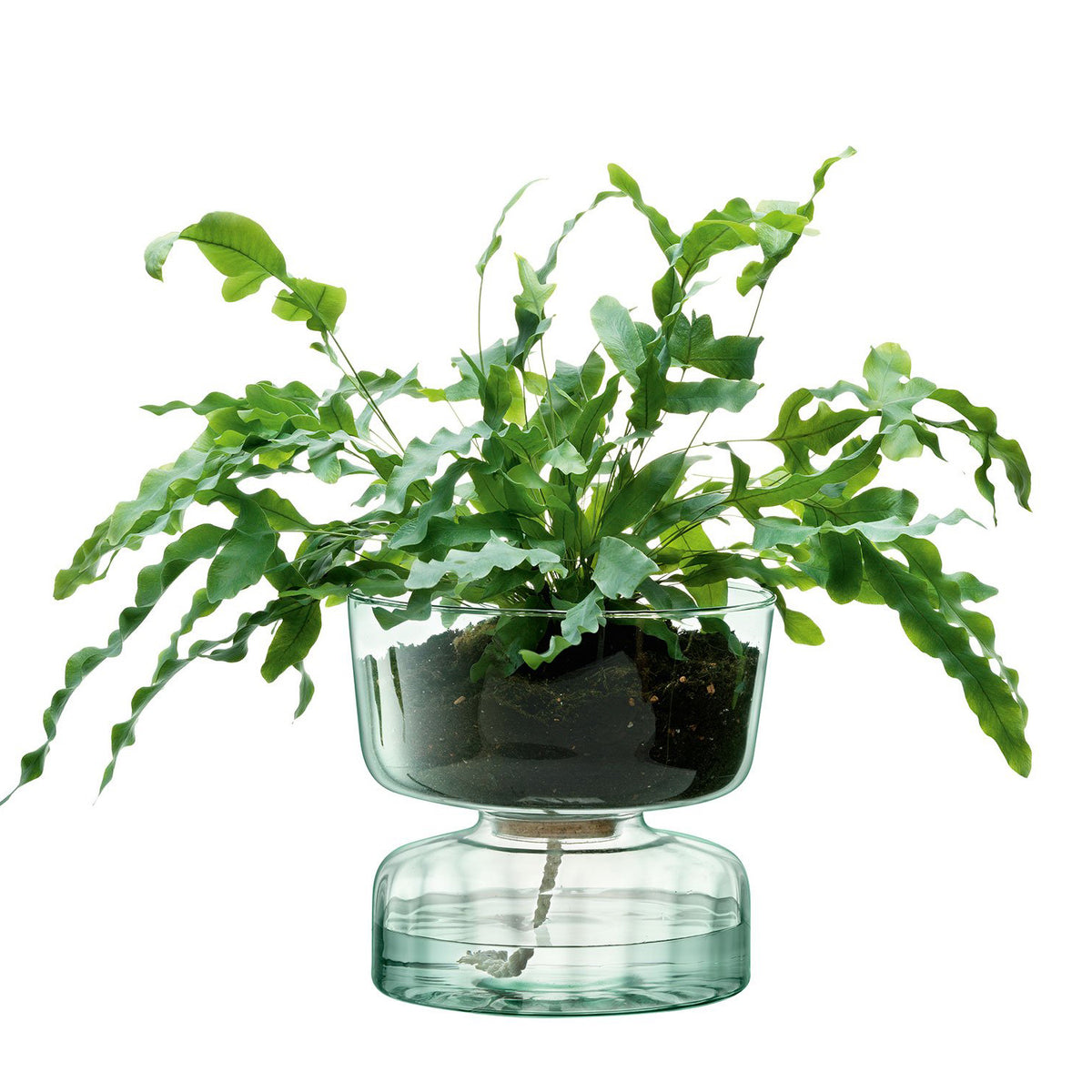 Canopy Self Watering Planter 22cm - LSA