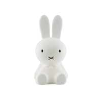 Miffy First Light