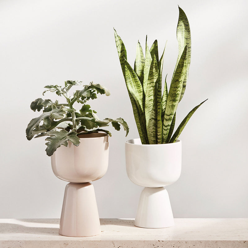 Nappula Planter, Small - Iittala